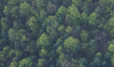 Recupero de Mermas que contribuyen al planeta